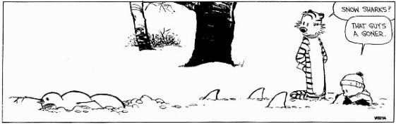 Calvin and Hobbes Comic