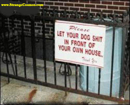 Dog Poop Rules