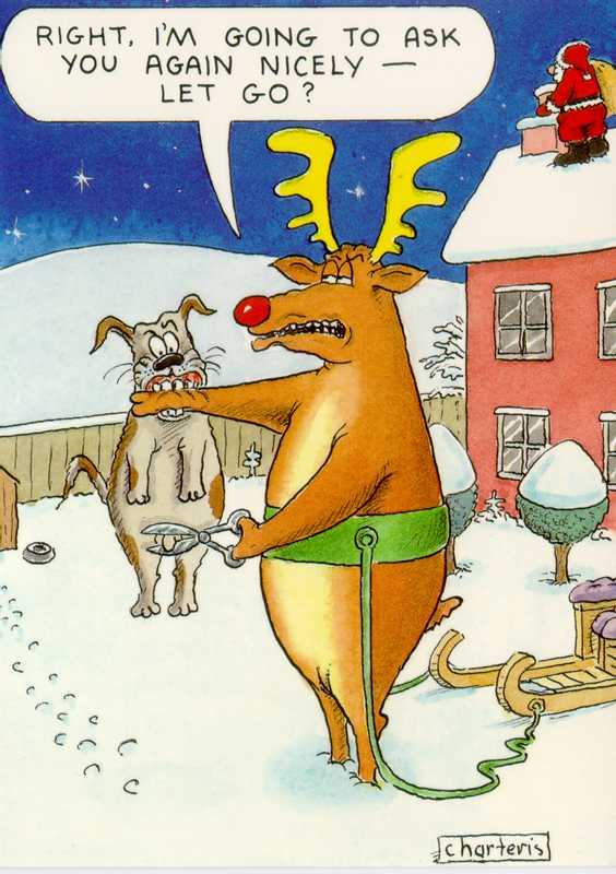 Rudolph vs. Dog
