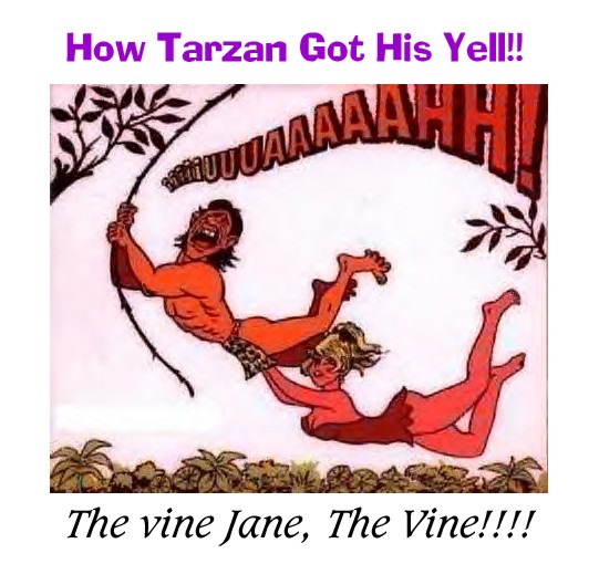 Tarzan Got His Yell