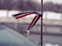 Frozen Freedom Thumbnail