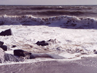 Los Angeles Ocean Thumbnail