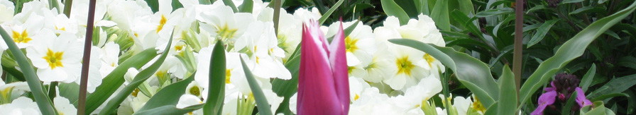Upbeat and Downstairs: Home of Daryl C. DuLong header image 2