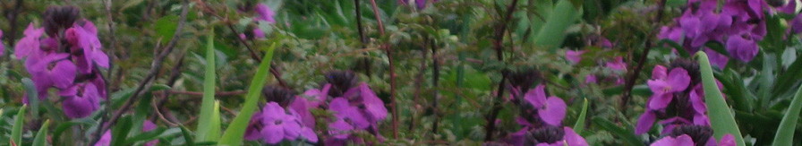 Upbeat and Downstairs: Home of Daryl C. DuLong header image 3